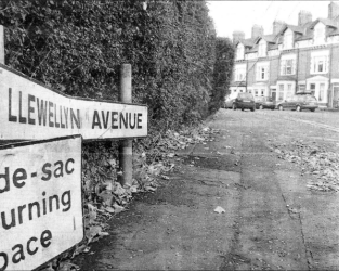 Llewellyn Avenue in Lisburn