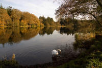 Wadding ashore at Hillsborough Lake 2