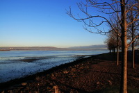 Coastal path to Whiteabbey, beside Belfast lough!