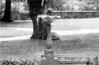 One of the restored fountains in Castle Gardens.