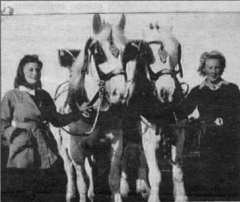 Ploughing in the fields - land girls at work during the war. Pic courtesy of DEFRA