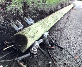 A telegraph pole that was brought down in the weekend storm at Old Coach Road, Hillsborough.