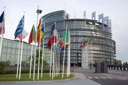 European parliament