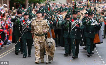 Royal Irish Regiment