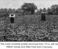 The cover of Sands' potato brochure from 1914, with Mr. William Sands and Willie Freel from Culcavey.