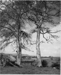 Landscape looking towards the Belfast Hill from Ravarnett