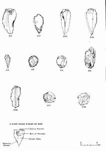 Flint Tools found