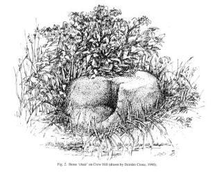 Fig. 2. Stone `chair' on Crew Hill (drawn by Deirdre Crone, 1990).