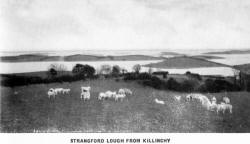 STRANGFORD LOUGH FROM KILLINCHY