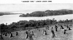 "HARVEST TIME" LOWER LOUGH ERNE