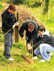 Laurelhill pupils (from left) Daniel Irwin, Cameron Part, Kian Richmond are pictured preparing their award-winning garden ahead of the Hillsborough Garden Festival.