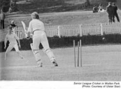 Senior League Cricket in Wallace Park. (Photo: Courtesy of Ulster Star)