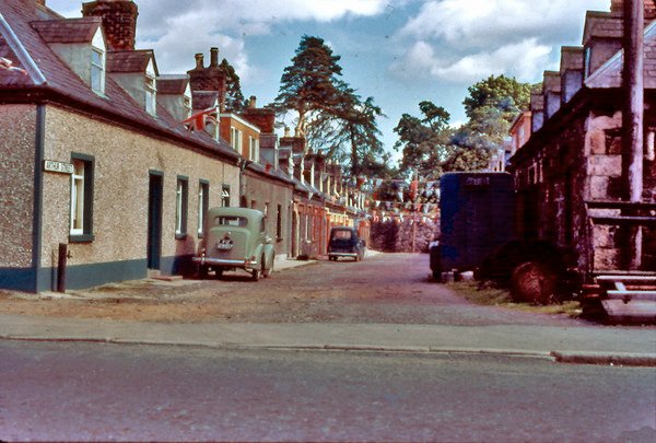 Arthur Street Hillsborough 1969